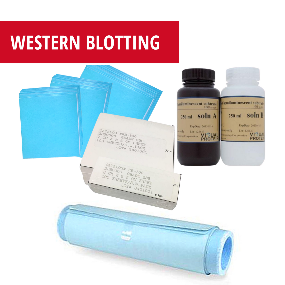 Western Blotting – NuSep